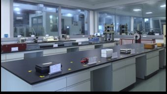 保一集團檢測中心順利通過CNAS現(xiàn)場評審，助力飼料添加劑生產(chǎn)質(zhì)量提升